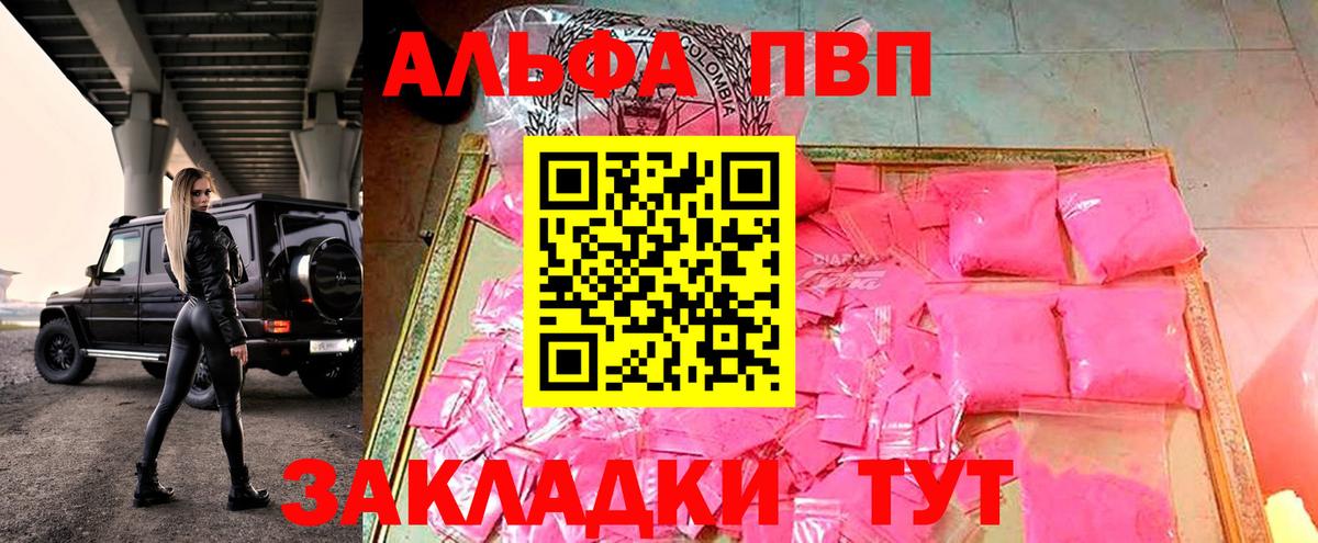 Выборг  А ПВП крисы CK  Вход с VPN  Alfa_PVP СК 
