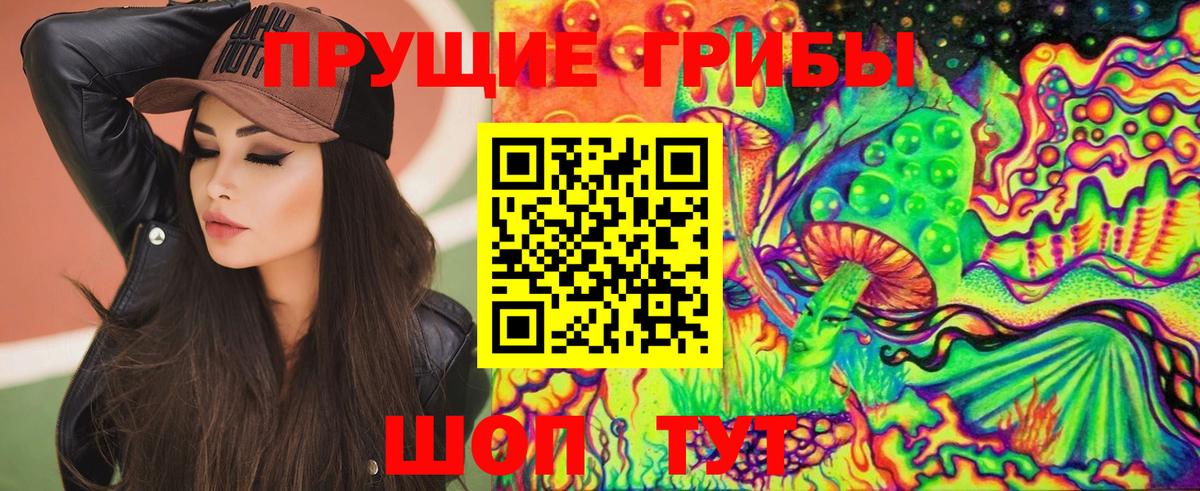 Выборг  купить закладку  Вход с VPN  Псилоцибиновые грибы Psilocybine cubensis 